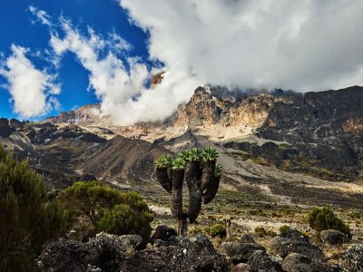 kilimanjaro lemosho route