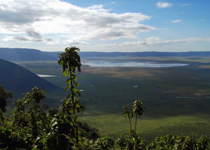 The Ngorongoro Conservation Area (NCA) is a conservation area and a UNESCO World Heritage Site.  The main feature of the NCA is its large, unbroken, unflooded volcanic caldera.  A dominant feature of the Ngorongoro Caldera is Lake Magadi, a shallow soda lake that supports large flocks of flamingo.